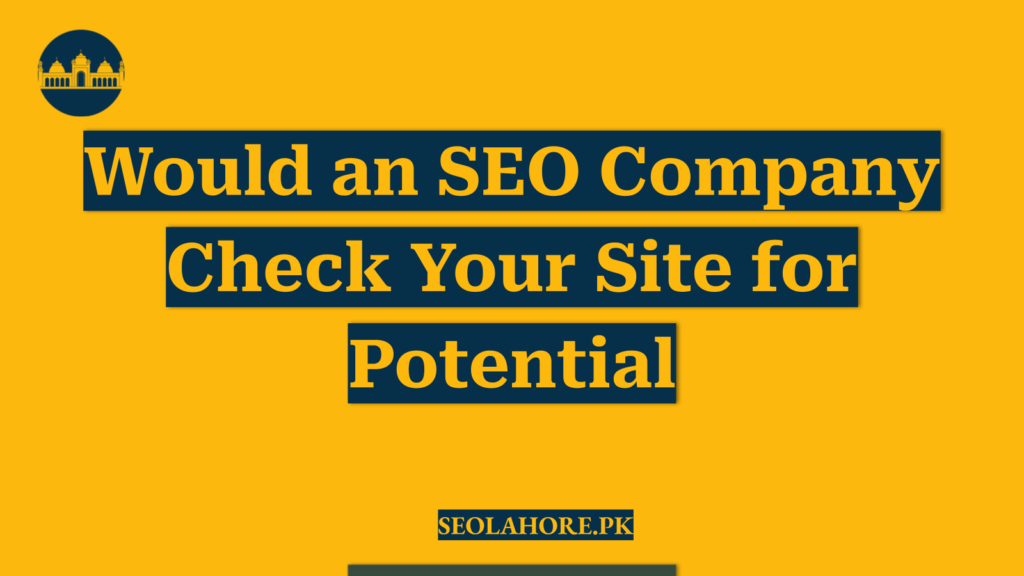 Would an SEO Company Check Your Site for Potential